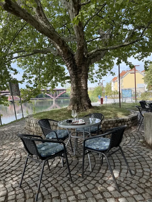 Okrogla mizica s štirimi stoli pod platano na terasi Vinoteke Maribor, v ozadju most čez Dravo
